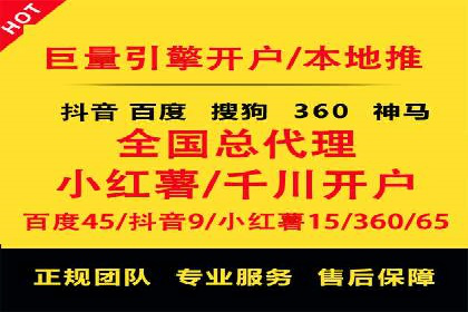 某电商平台的SEM广告投放策略及效果评估